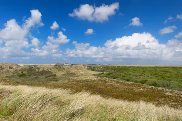 Dunes sur la côte néerlandaise — Photo