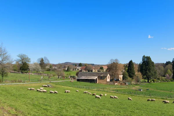 Franse landschap in de Limousin — Stockfoto