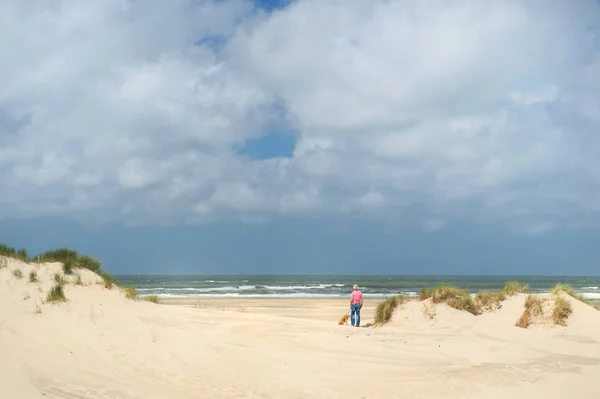 Uomo con cane in spiaggia — Foto Stock