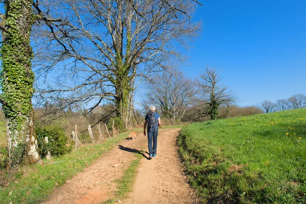 Caminhando na natureza — Fotografia de Stock