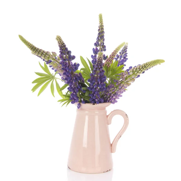Purple Lupine in vase isolated over white background — Stock Photo, Image