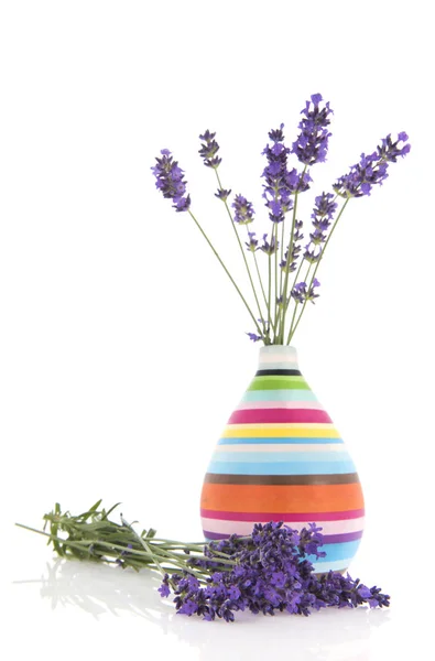 Bouquet Lavendel in der Vase — Stockfoto