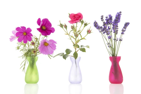Rij bloemen in kleine vazen — Stockfoto
