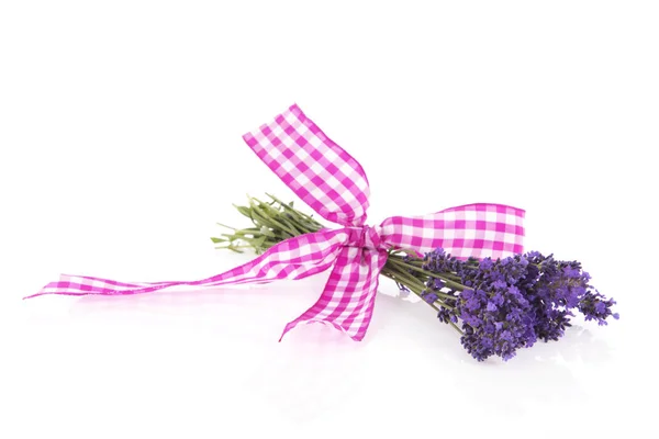 Bouquet Lavendel mit Schleife — Stockfoto