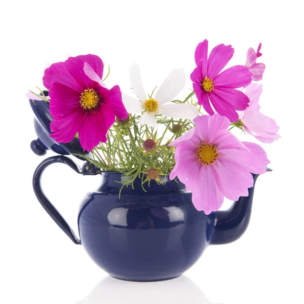 Pink Cosmos flowers in vase — Stock Photo, Image