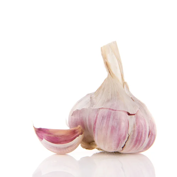 Fresh garlic bulb — Stock Photo, Image