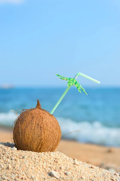 열 대 코코넛 해변에서 — 스톡 사진