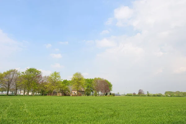Nederlandse agrarische landschap — Stockfoto