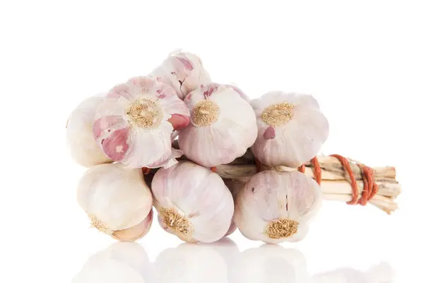 Fresh bunch garlic — Stock Photo, Image