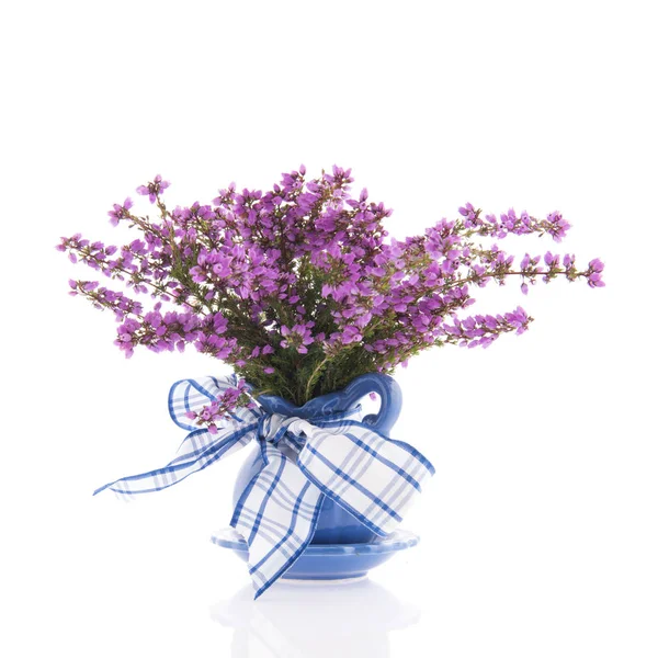 Violette Heideblüten in der Vase — Stockfoto