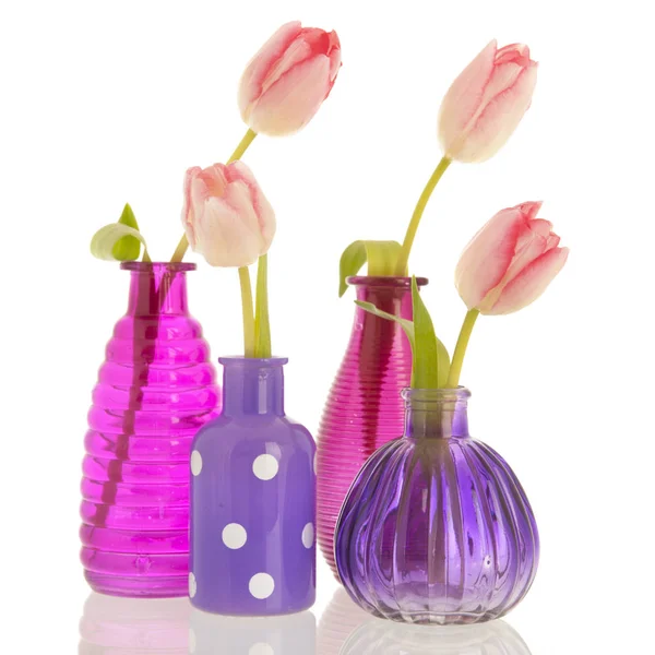 Современные вазы с тюльпанами — стоковое фото