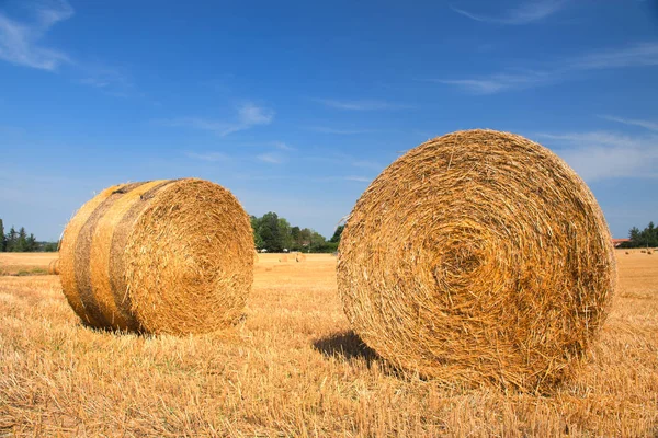 Landschap in Franse Haute Vienne — Stockfoto