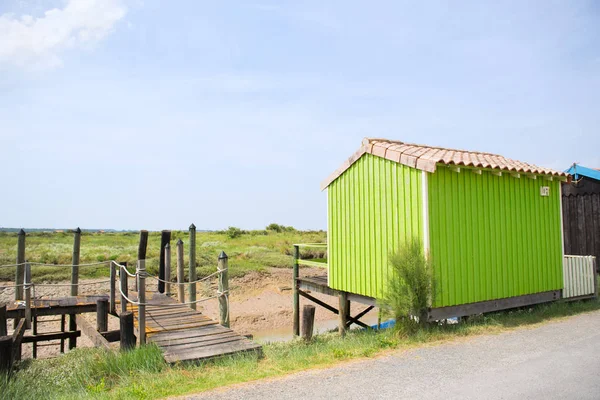 Green Oyster cabine from fisherman — Stock Photo, Image