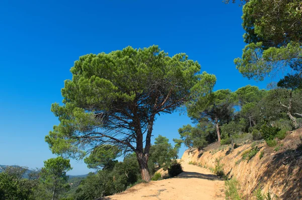 Landskap i Spanien — Stockfoto