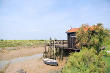 İstiridye kabin balıkçı