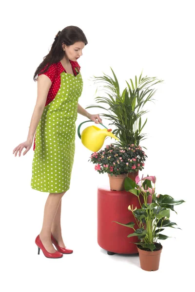 Kvinna som ger vatten till växterna i inre — Stockfoto