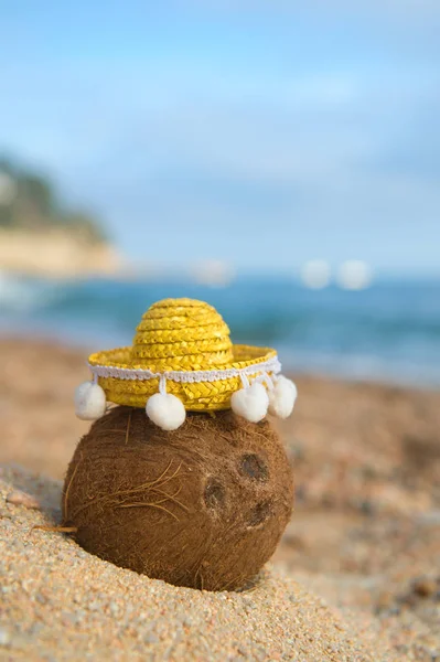 Coco com sombrero na praia — Fotografia de Stock