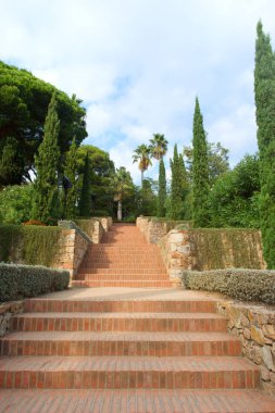 Palmiye ağaçları ile tropikal merdiven