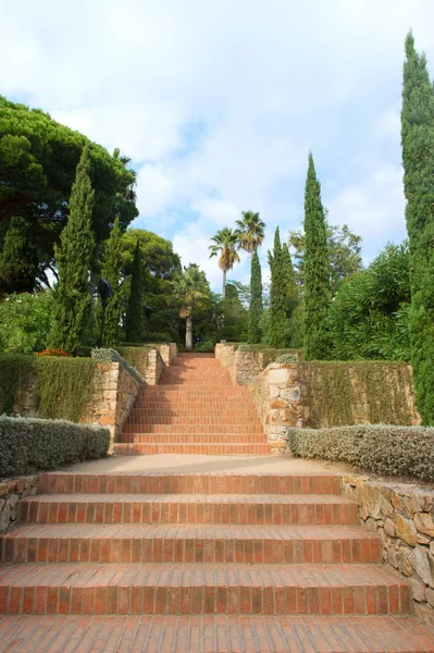 Palmiye ağaçları ile tropikal merdiven