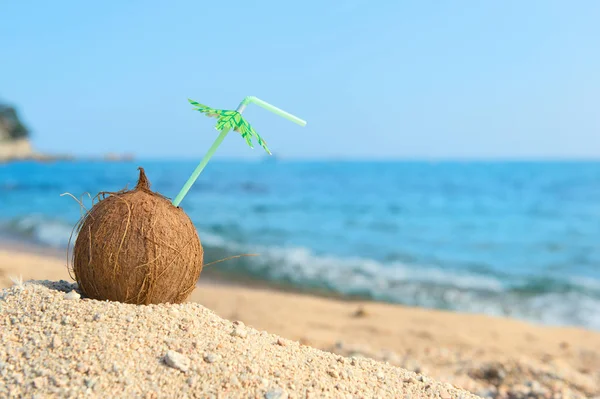 Tropische kokosnoot op strand — Stockfoto
