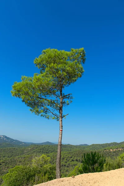 Landscape in Spain — Stock Photo, Image