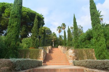 Palmiye ağaçları ile tropikal merdiven