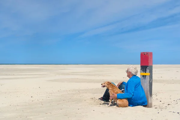 Bărbat cu câine pe plajă — Fotografie, imagine de stoc