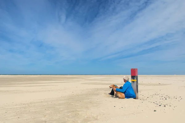 Uomo con cane in spiaggia — Foto Stock