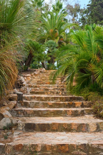 Tropická schody s palmami — Stock fotografie