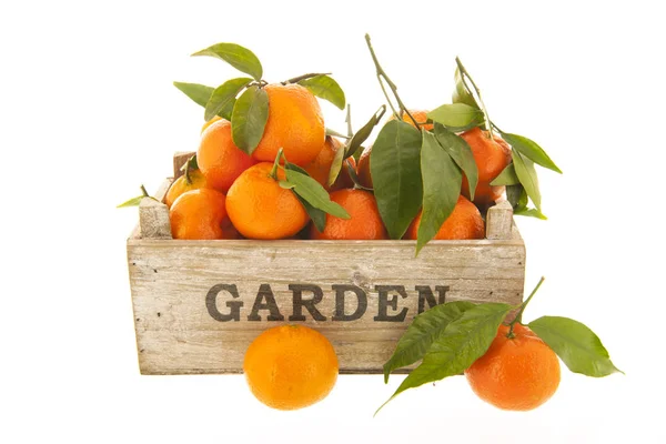 Mandarinky v bedně izolované na bílém pozadí — Stock fotografie