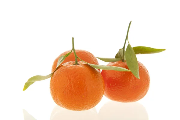 Tangerines isolated over white background — Stock Photo, Image