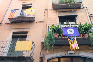 Gerona İspanyaMavi gökyüzü karşı bitki tutan çocuk elleri temizleyin