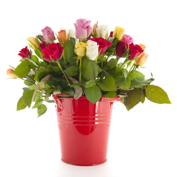 Bouquet roses in bucket — Stock Photo, Image