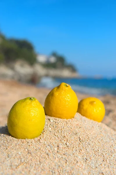 Citroner på stranden — Stockfoto