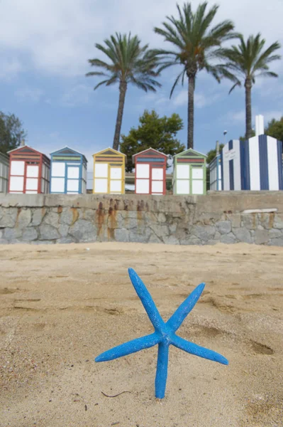 Colorful beach huts and blue starfish — Stock Photo, Image