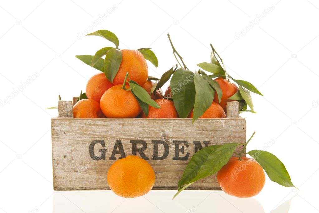 Tangerines in crate isolated over white background