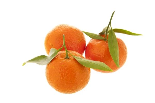 Mandarinen isoliert über weißem Hintergrund — Stockfoto