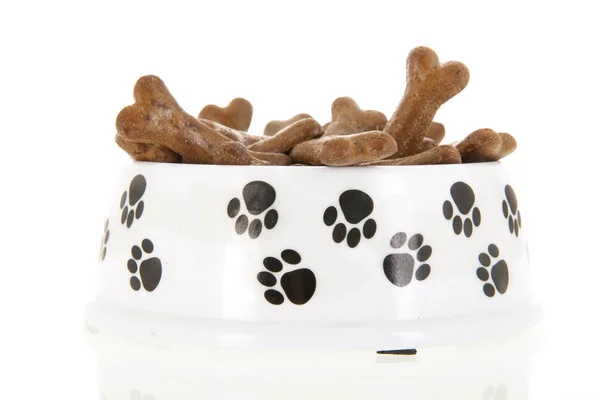 Bowl dog food — Stock Photo, Image