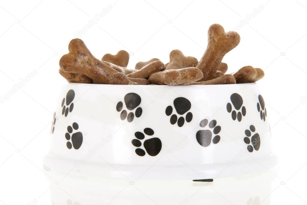 Bowl dog food