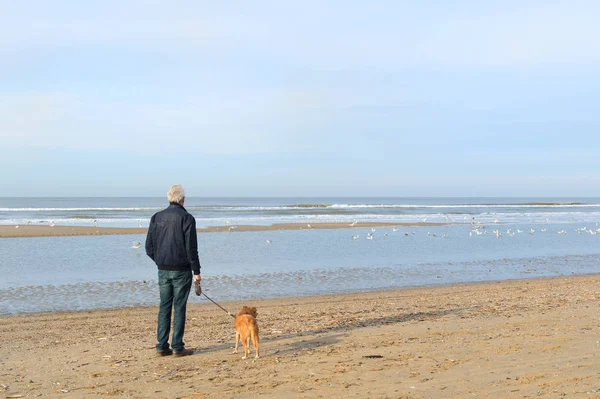 Senior man with dog at the beach — Stock Photo, Image