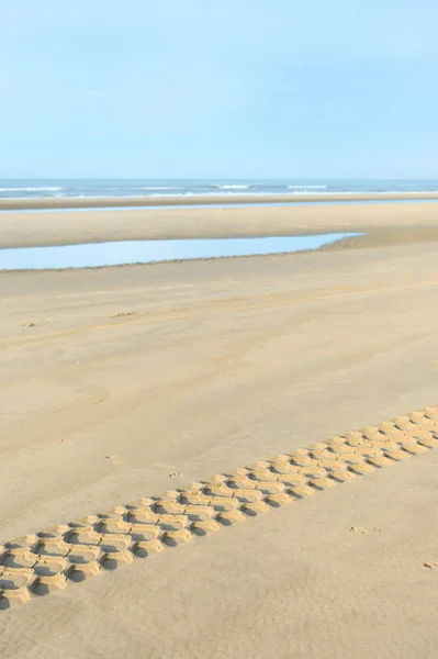 Hollanda beach Kuzey Denizi adlı — Stok fotoğraf