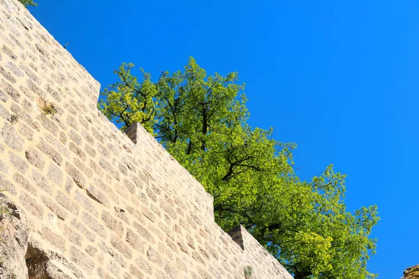 Muur van een oud kasteel — Stockfoto