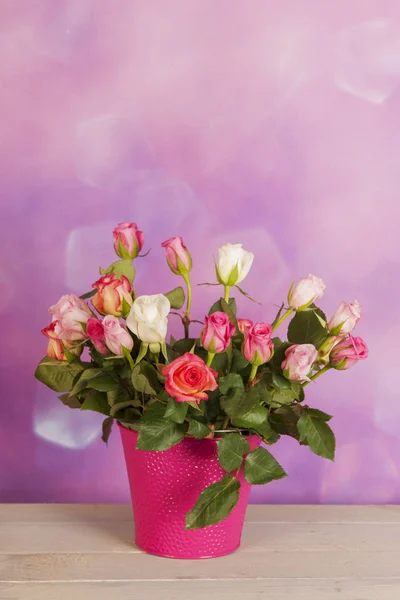 Bouquet roses in vase — Stock Photo, Image