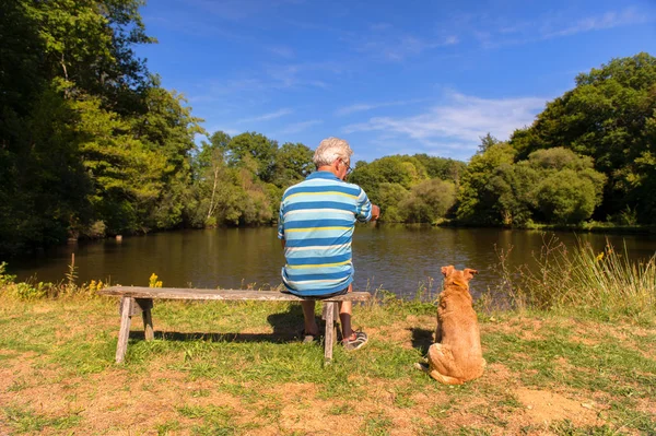 Man met hond in de natuur — Stockfoto