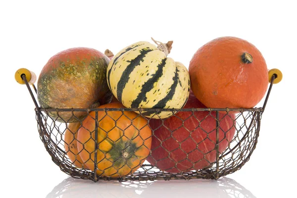 Laranja e abóboras verdes na cesta — Fotografia de Stock