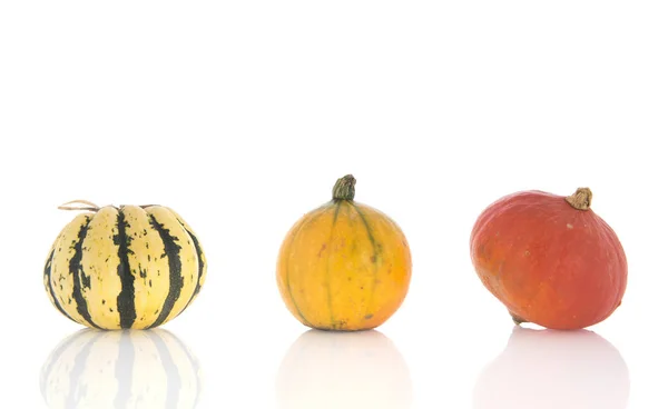 Orange and green pumpkins in basket — Stock Photo, Image