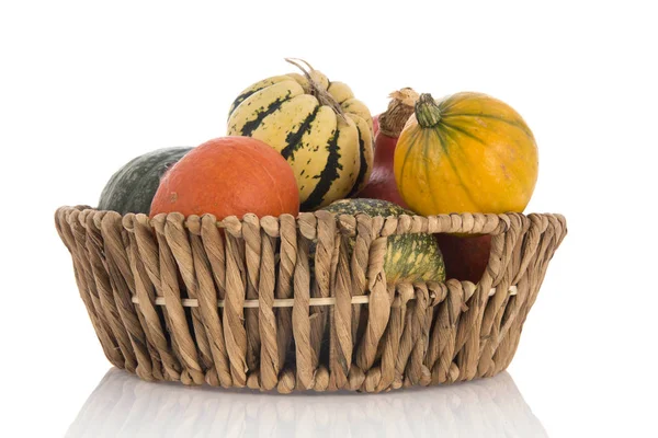 Citrouilles orange et vertes dans le panier — Photo