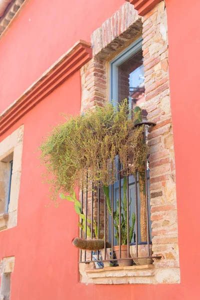 Hiszpański okno z kaktusów — Zdjęcie stockowe