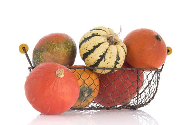 Orange and green pumpkins in basket — Stock Photo, Image