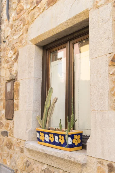 Іспанська вікно з кактусами — стокове фото